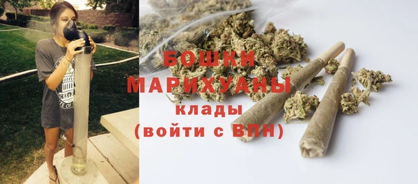 стафф Белокуриха