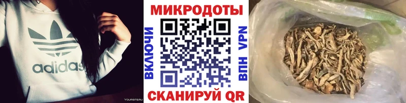Галлюциногенные грибы Magic Shrooms  Афипский 